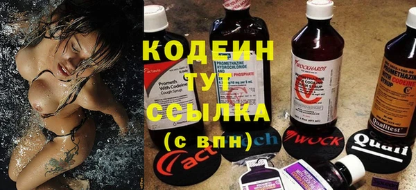 индика Краснотурьинск