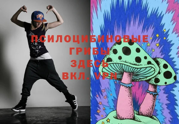 эйфоретик Алексин