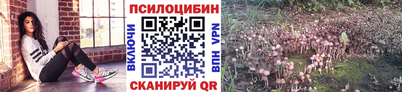 Псилоцибиновые грибы Psilocybine cubensis  Агрыз 