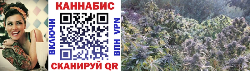 мега ТОР  Агрыз  Марихуана марихуана 